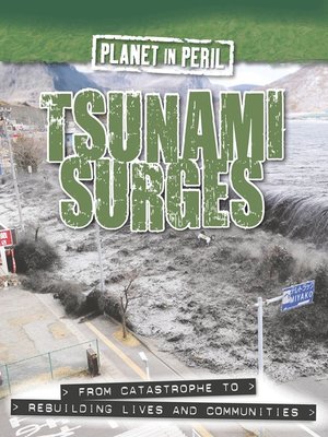cover image of Tsunami Surges